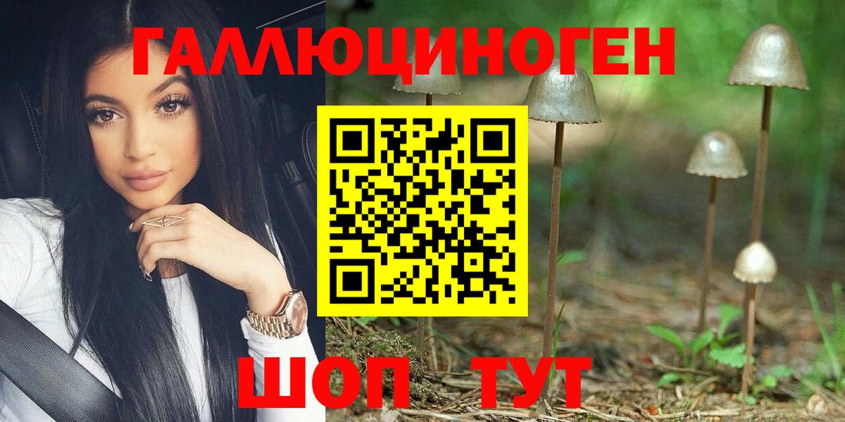 Ялта  Псилоцибиновые грибы GOLDEN TEACHER  купить наркотики сайты  Вход с VPN 