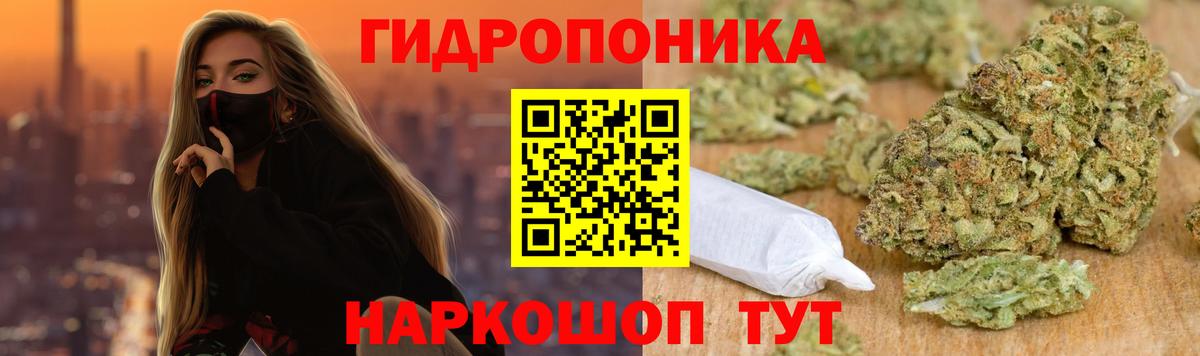 Шишки марихуана конопля Ялта